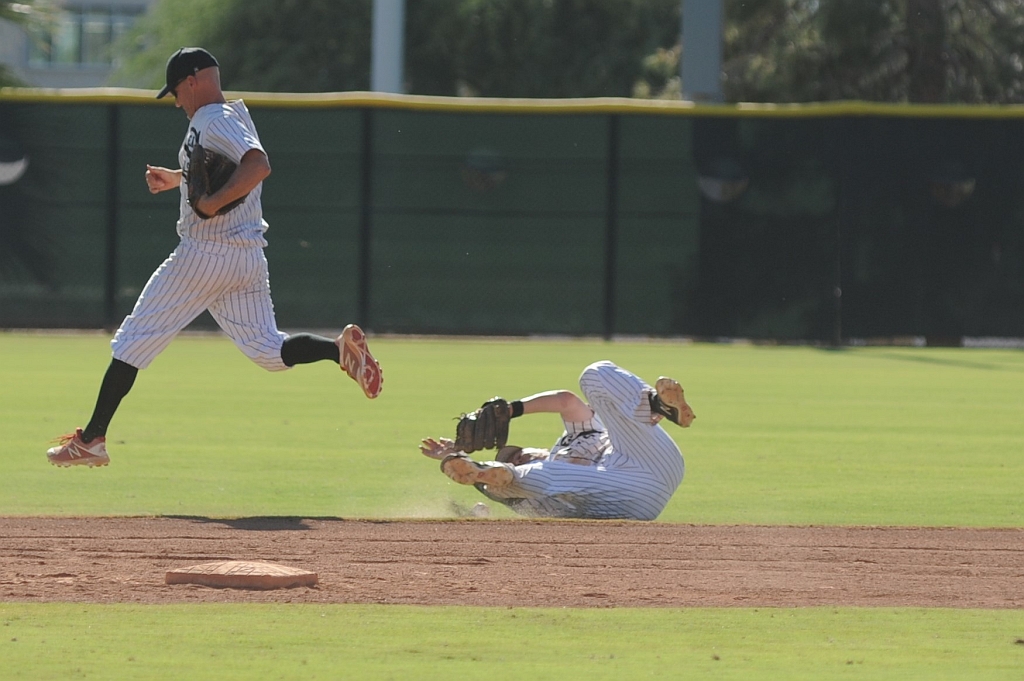 Seals_2019-10-09 (373).JPG - (c)2010 DeVetter